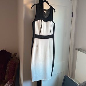 Fashion to Figure black and white dress